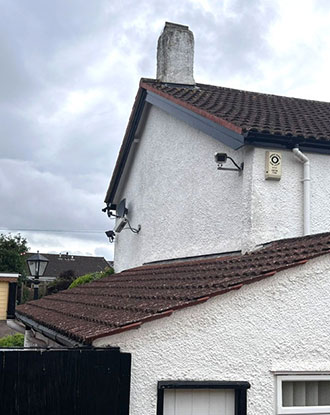 Painter Decorators Pinhoe