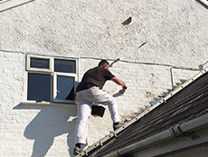 Painter Exeter