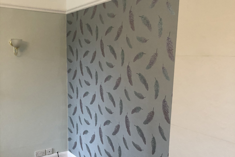 Painter Decorator Sidmouth