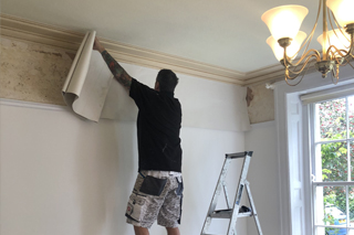 Painter Decorator Sidmouth